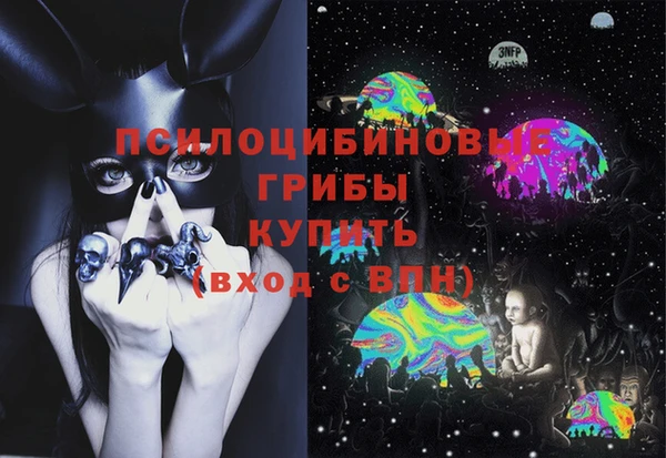 твердый Заволжск