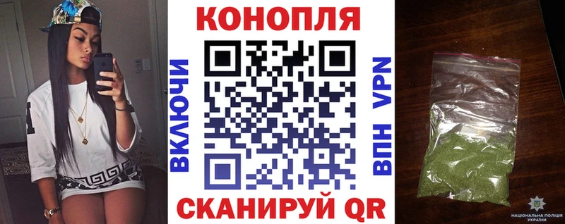 блэк спрут зеркало  Светогорск  Канабис гибрид  как найти закладки 